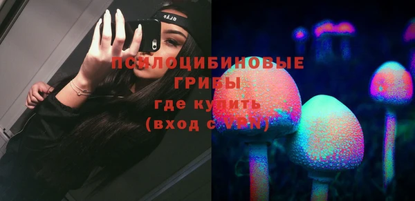 ПСИЛОЦИБИНОВЫЕ ГРИБЫ Богданович