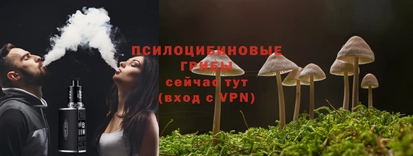 ПСИЛОЦИБИНОВЫЕ ГРИБЫ Богданович