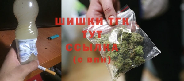 мдпв Богородск