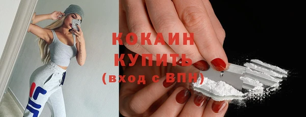 мдпв Богородск