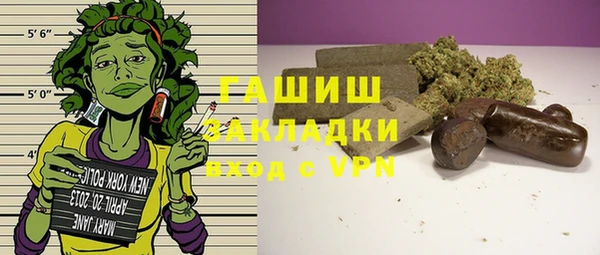 ПСИЛОЦИБИНОВЫЕ ГРИБЫ Богданович