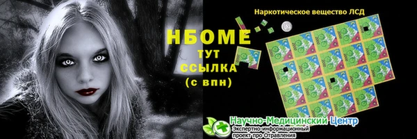 ПСИЛОЦИБИНОВЫЕ ГРИБЫ Богданович
