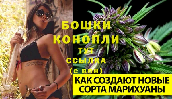 ПСИЛОЦИБИНОВЫЕ ГРИБЫ Богданович