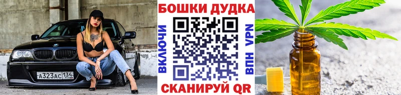 Бошки Шишки SATIVA & INDICA  Купить закладки  Козельск 